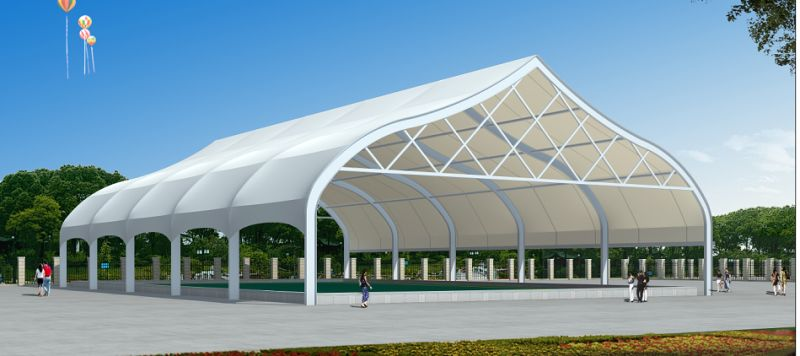 蓋頂膜結(jié)構(gòu)建筑 蓋頂膜結(jié)構(gòu)建筑